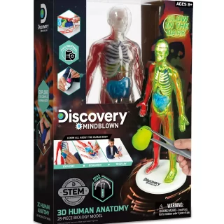 3D Human Anatomy 28-Piece Biology Model